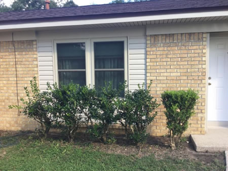 Why spring is the best time to upgrade your siding for curb appeal and durability